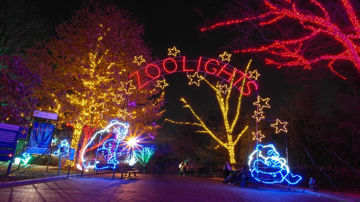 Zoo lights at Zoo Miami - christmas party