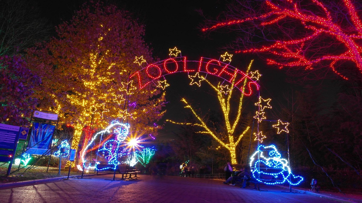 Zoo lights at Zoo Miami - christmas party