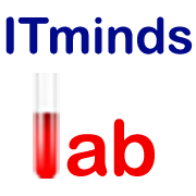 IT Mindslab