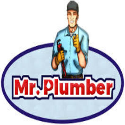 Mr. Plumber