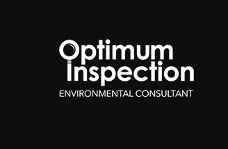 Optimum Inspection