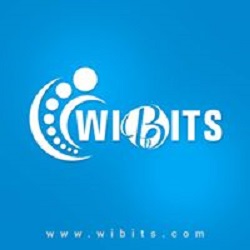 Wibits Web Solutions LLP