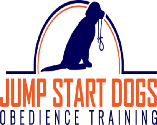 Jump Start Dog Training