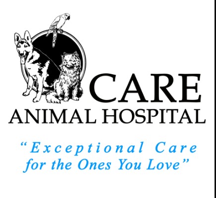 Care Animal Hospital