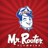 Mr Rooter