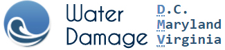 Water Damage DMV