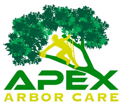 Apex Arbor Care