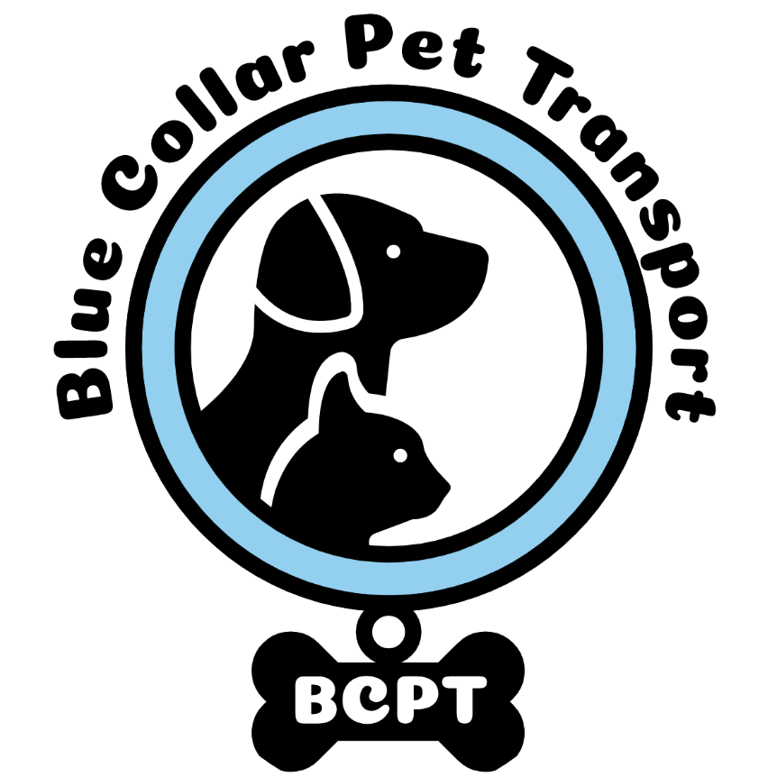 Blue Collar Pet Transport