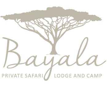 Bayala Private Safari Lodge and Camp