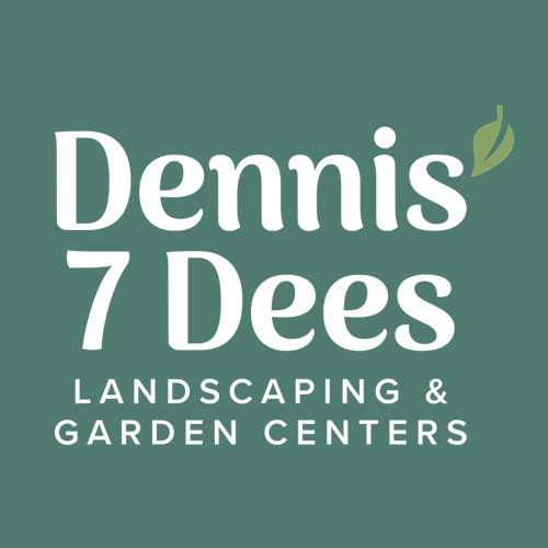 Dennis 7 Dees