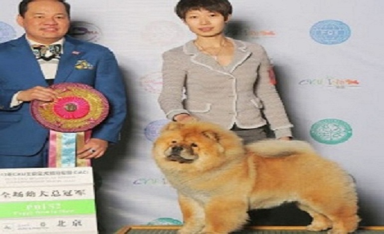 Yan Huang International Kennel