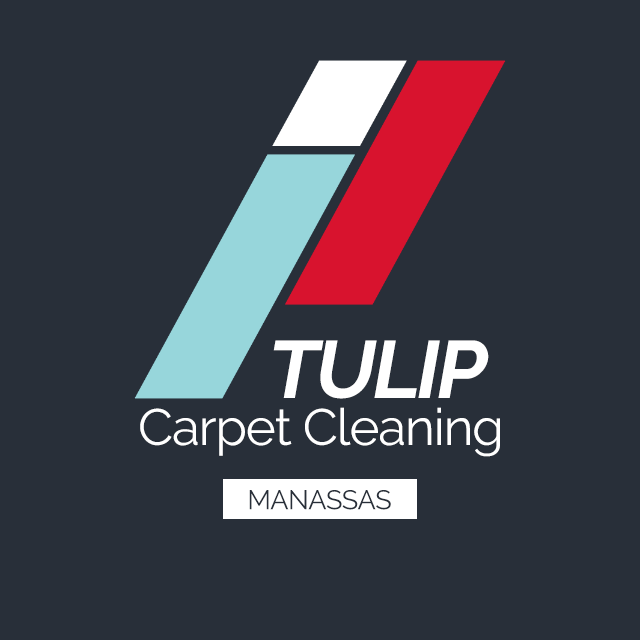 Tulip Carpet Cleaning Manassas