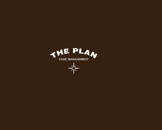 The Plan Recovery Services