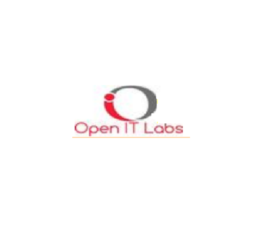 OPEN IT LABS LLC