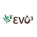 EVO3 OFI LLC