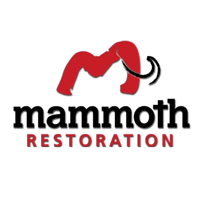 Mammoth Restoration