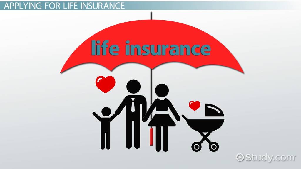 Insurance Helpline Newzeland