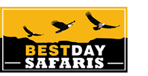 BestDay Safaris