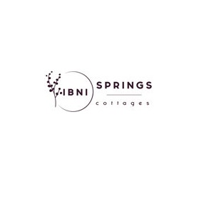 IBNI Springs