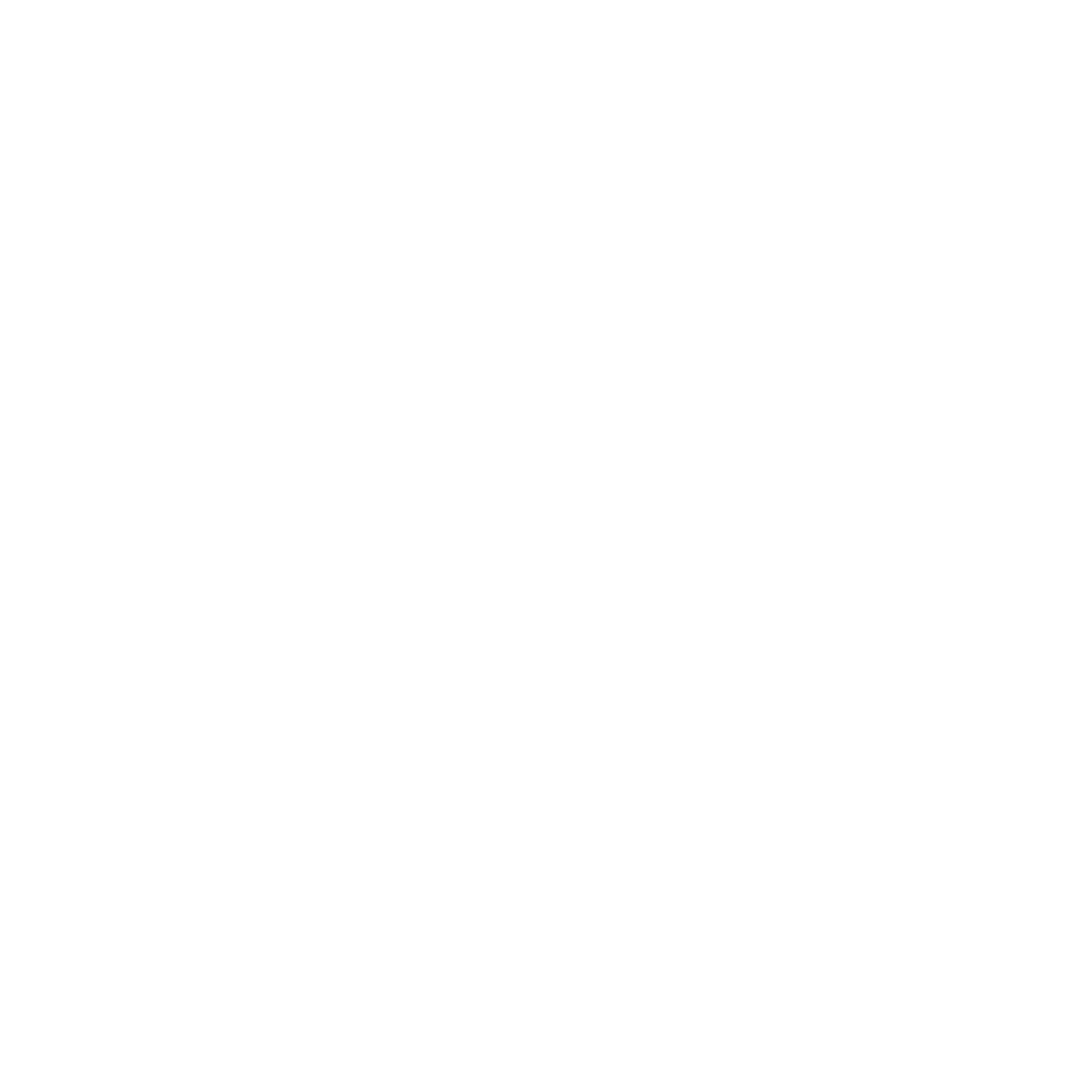 NetMaxims Technologies