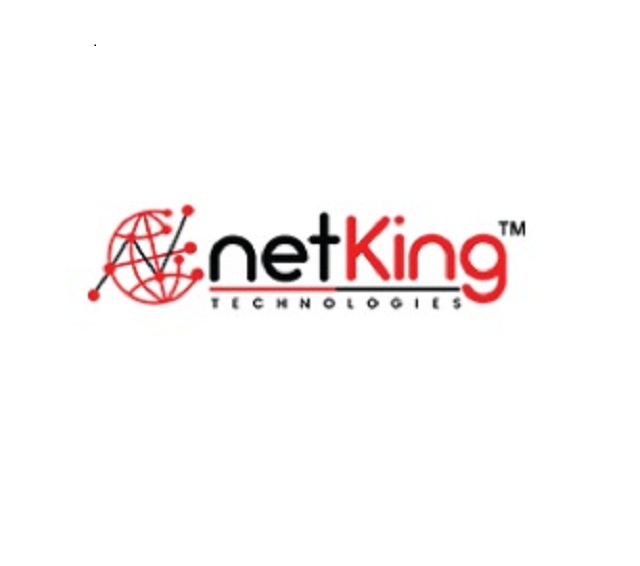info@netkingtechnologies.com