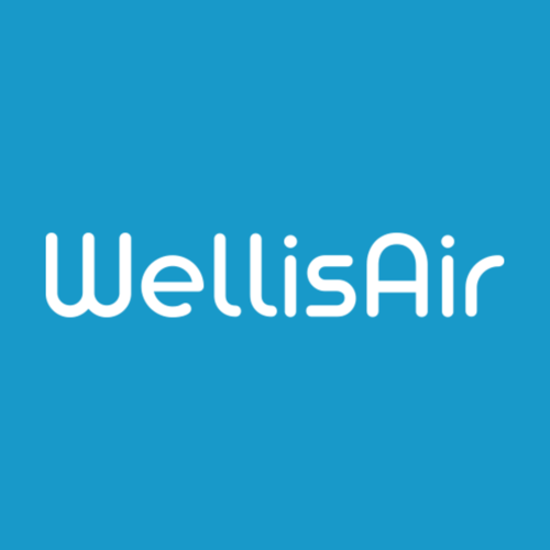 Wellis Air Disinfection