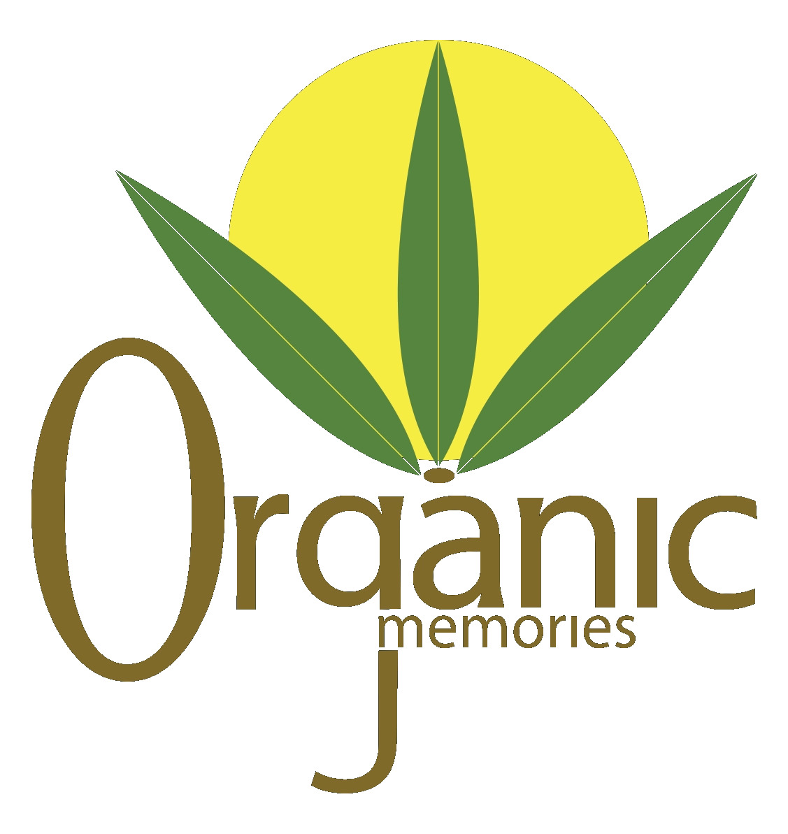 Organic Memories