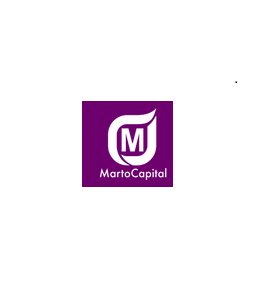 Marto capital