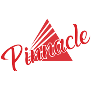 Pinnacle Martial Arts Academy