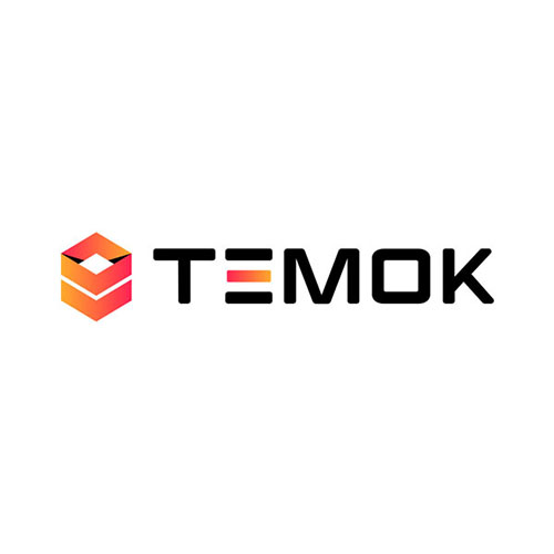 Temok IT Services