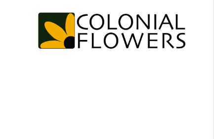 Colonial Flowers