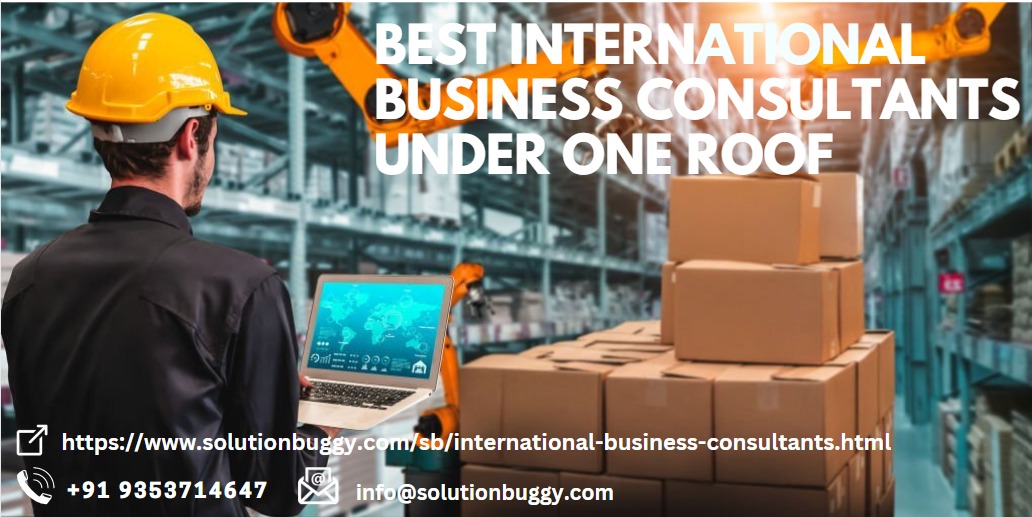 International business consultant