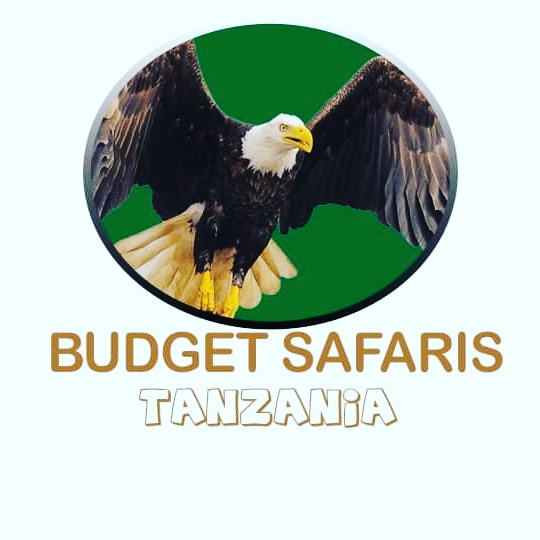 Budget Safaris Tanzania