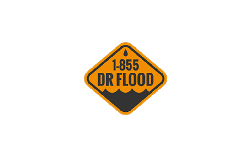 Dr Flood