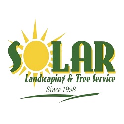 Solar Landscaping & Tree Service