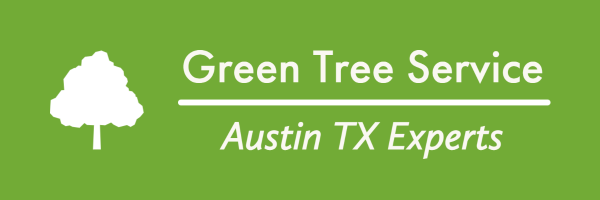 Green Tree Service Austin TX Experts