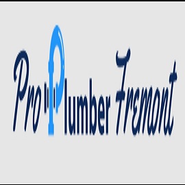 Pro Plumber Fremont