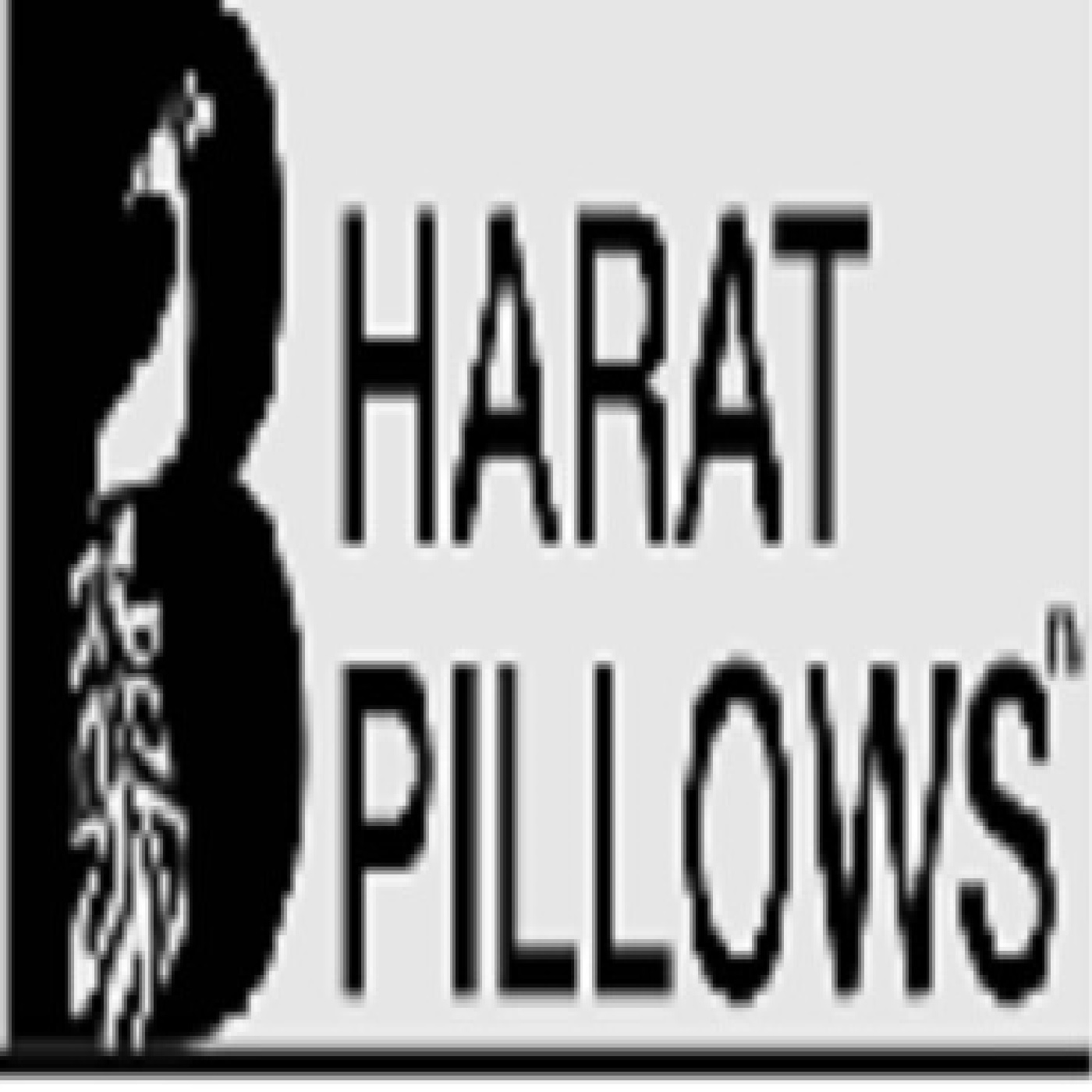 Bharat Pillows