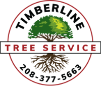 Timberline Tree Service - Tree Removal