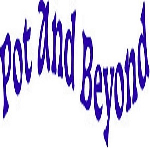 Pot and Beyond