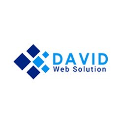 David Web Solution