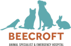 Beecroft Surgical