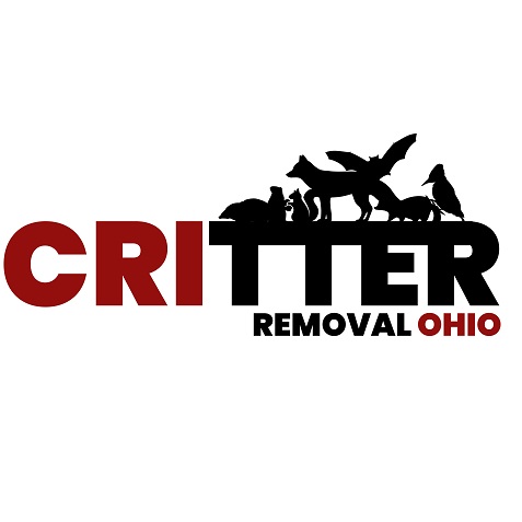 Critter Removal Ohio