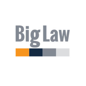 Big Law Pty Ltd