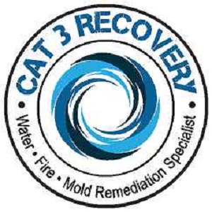 CAT 3 Recovery - Cape Coral
