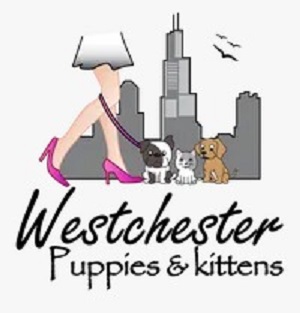 Westchester Puppies & Kittens