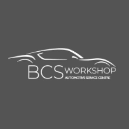 BCS Workshop
