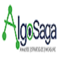 AlgoSaga Digital Marketing Agency