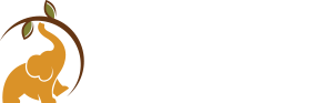 backtorootsayurveda