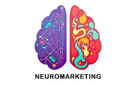 Neuro marketing